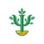 PsicoBrasil Logo